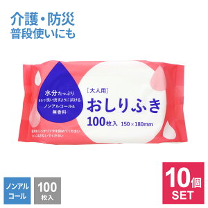 大人用 おしりふき ×10個セット 選べるタイプ : 普通サイズ/大判サイズ | 大人用 おとな お尻 おしり からだ拭き 清拭 ノンアルコール 無香料 災害 防災用品 介護 ぬれタオル ウェットタオル