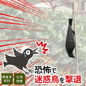 悯 Q΍ObY RKX ubN EG-18 b JX  h   ng  XY S~u ʎ ʕ   