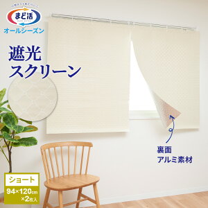  ՔM ܂Ǌ fMEՌXN[ 2g V[g/Ob fM J[e   ΍ ȃGl ՔMV[g fMV[g Ռ ڂ OJbg UVJbg 悯 ՌJ[e 