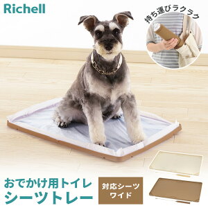 b`F p gуgC NłV[cg[ Ch uE / AC{[ b ȒPgC ȈՃgC ^ gC V[cg[ ł h gCg[ VR[ ې 