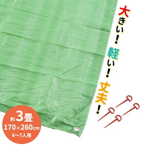 W[V[g rbOV[gCg 6`7lp 3TCYi170×260cmj b y h 傫 ^ Ղ h Cxg st yO h~