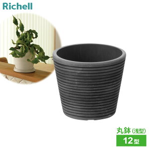 ���b�`�F�� �A�ؔ� �{�^�j�[ �~�f�B�|�b�g 12�^ �_�[�N�O���[ / �z���C�g �b �� �|�b�g ���|�� �v�����^�[ �ϗt�A�� �K�[�f�j���O ���풲 ���A�� 12cm �y�� ����ɂ��� ������� �� ���^