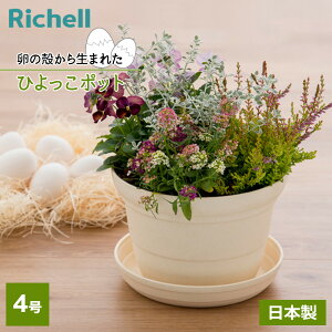 ���b�`�F�� �Ђ���� �|�b�g 4�� �x�[�W�� 170341 �b �A�ؔ� �� �v�����^�[ ��� ���a12cm ���{�� �V���v�� �A�b�v�T�C�N�����i ���̊k�̍ė��p ���ɂ₳���� �G�R SDGs ���|�p�i ��