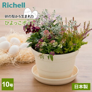 リッチェル ひよっこ ポット 10号 ベージュ 170353 | 植木鉢 鉢 プランター 浅め 直径30cm 日本製 シンプル アップサイクル商品 卵の殻の再利用 環境にやさしい エコ SDGs 園芸用品
