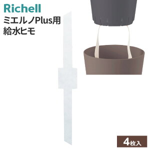 b`F |pi ~GmPluspq 4 095615 b zq R   ւ p ϗtA ~GmPlus  肪N 璆̐΍