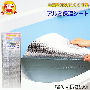 A~CۉV[g M 70×90cm BI-017 b C ۉ  Jo[ GR ߖ