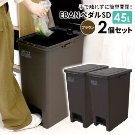 ゴミ箱 エバンペダル45　SD 45L ブラウン2個セット A6324 ｜ ダストボックス ペダル ペダルペール ごみ箱 キッチン 袋止めつき 角型 台所 フタ付き 45リットル おしゃれ 分別 資源ゴミ