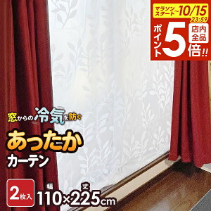 y10/15 Si|Cg5{z΍  J[e |op 110×225cm 2 SX-065 b  fM J[e C h ߓd ȃGl GR fM V[g ~ ߖ g[UP rj[ 