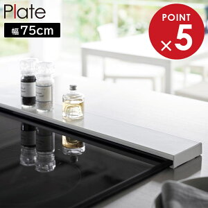 �r�C���J�o�[ �v���[�g �t���b�g�^�C�v W75 �R����� plate ��75cm�ȓ��̃R�����Ή� �z���C�g 2904 yamazaki