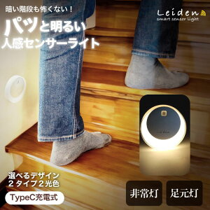 yN[|ō񑦊38%905~~z LED ZT[Cg 铔 ÃZT[ LEDCg [d 킢 퓔 邢 Q tbgCg   V ^ 邳 ڂɗD h d