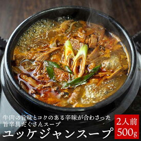 ユッケジャンスープ500g（約1～2人前） 韓国グルメ 韓国 スープ 食品 常温便・クール冷蔵便