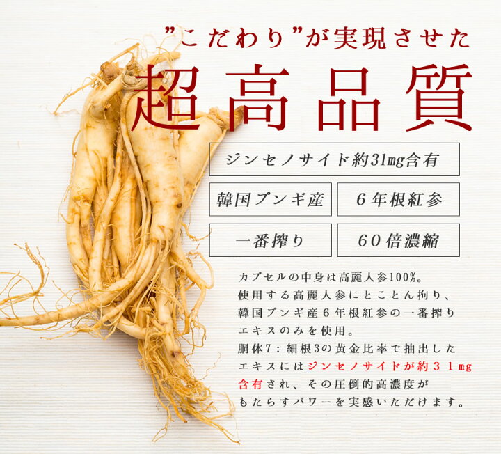 楽天市場】公式 J 