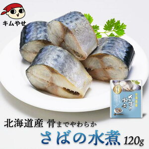 kCY ΂̐120g 퉷ցE①ց^To I y  H [OXgbN ~ h ۑH ۑ