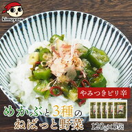 テレビで紹介！★ めかぶと3種のねばっと野菜 （ピリ辛風味）120g×5袋 冷凍便 送料無料 めかぶ オクラ …