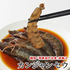 PW̃Gro[W_؍̖Xu铇ƁṽJWZE 10 360g iVAVGr5180g×2܁jƃ\[X200gZbg Ⓚ yz^ZEW 