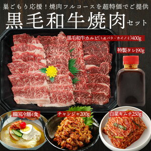 韓国冷麺 セット 肉類の通販 価格比較 価格 Com