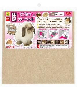 OW xs^bƃJ[ybg J51 5 ETM e \AzbN  pi VjA J[ybg ی pO~   