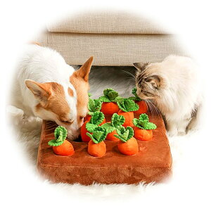 m[Y[N ɂ񂶂 ETM  ɂ񂶂  m[Y[N  L XgX ɂ񂶂  lQ jW  mߋ mgC L  e ߋ 