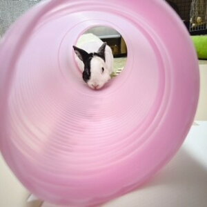 ݌Ɍ SANKO OW Wogl20 U14 gl  pi ETM e  gl  Wogl X  XgX