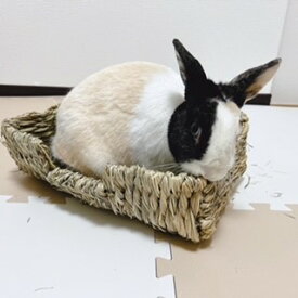 わらっこ倶楽部 ごろ寝ソファーワイド うさぎウサギ 兎 うさぎ藁ベッド うさぎかじれるベッド チモシーベッド うさぎ専門店　うさぎ ストレス解消 うさぎ牧草入れ