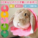 ランキング入賞 送料無料 メール便 うさぎ用エリザベスカラー うさぎ 避妊 うさぎ去勢 皮膚疾患 傷保護 ウサギ用エリ…