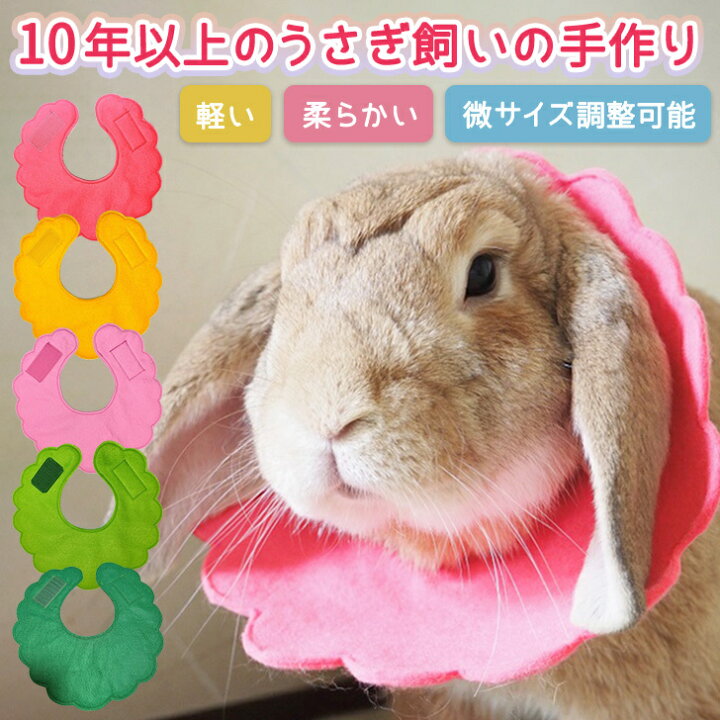 楽天市場】送料無料 メール便 うさぎ用エリザベスカラー うさぎ 避妊 