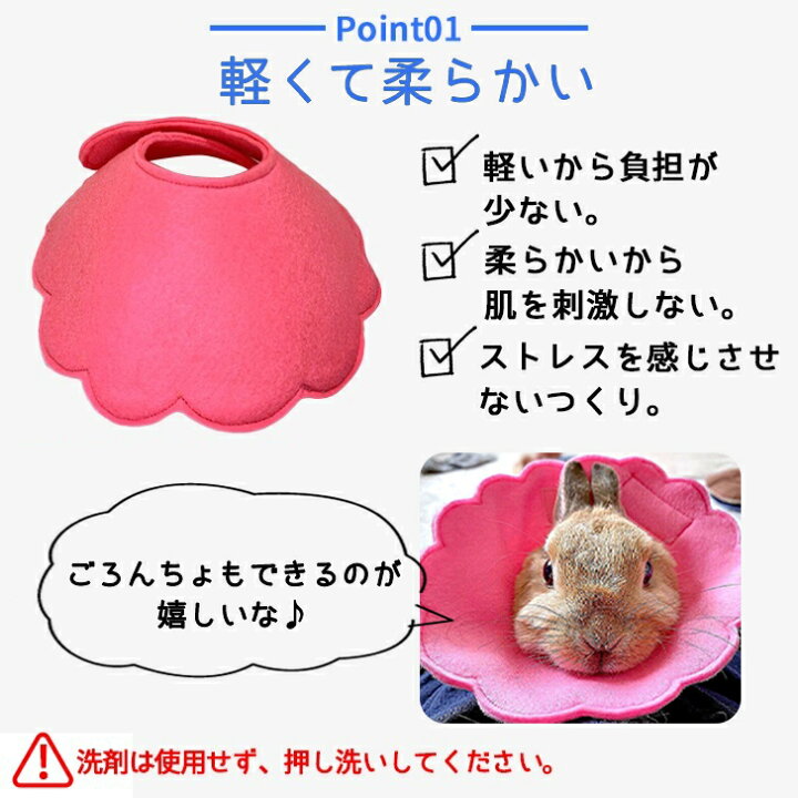 楽天市場】送料無料 メール便 うさぎ用エリザベスカラー うさぎ 避妊 