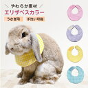 ランキング入賞 送料無料 メール便 うさぎ用エリザベスカラー 避妊 去勢 皮膚疾患 傷保護 ウサギ用エリザベスカラー …