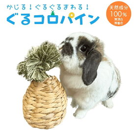 川井 ぐるコロパイン うさぎおもちゃ　うさぎ齧れるおもちゃ　天然素材　うさぎ安心おもちゃ うさぎ