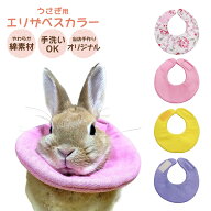 送料無料 メール便 うさぎ用エリザベスカラー 避妊 去勢 皮膚疾患 傷保護 ウサギ用エリザベスカラー ウサ…