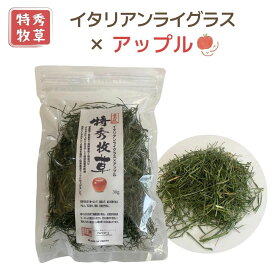 特秀牧草　アップルライグラス 30g 70g国産　無農薬ウサギおやつ イタリアンライグラス うさぎおやつ