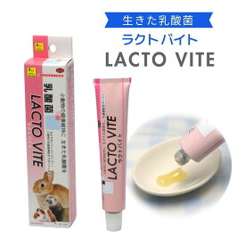 ラクトバイト50g 616 三晃商会 うさぎ 乳酸菌 栄養補助　ウサギ フェレット 乳酸菌ペースト