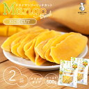 ＼35%OFFクーポン配布中♪ 7/11 1:59まで／ ドライマンゴー リッチカット 500g 2袋セット (500g×2) 送料無料 ドライフルーツ マンゴー スライス