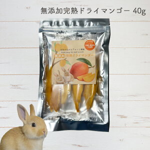 Y nhC}S[ 40g ybgp (E)