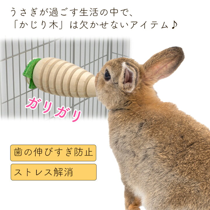 134円 第一ネット 三晃商会 かじり木スティック ばりやわ A132 うさぎ用おもちゃ 134円 第一ネット 三晃商会 かじり木スティック ばりやわ A132 うさぎ用おもちゃ