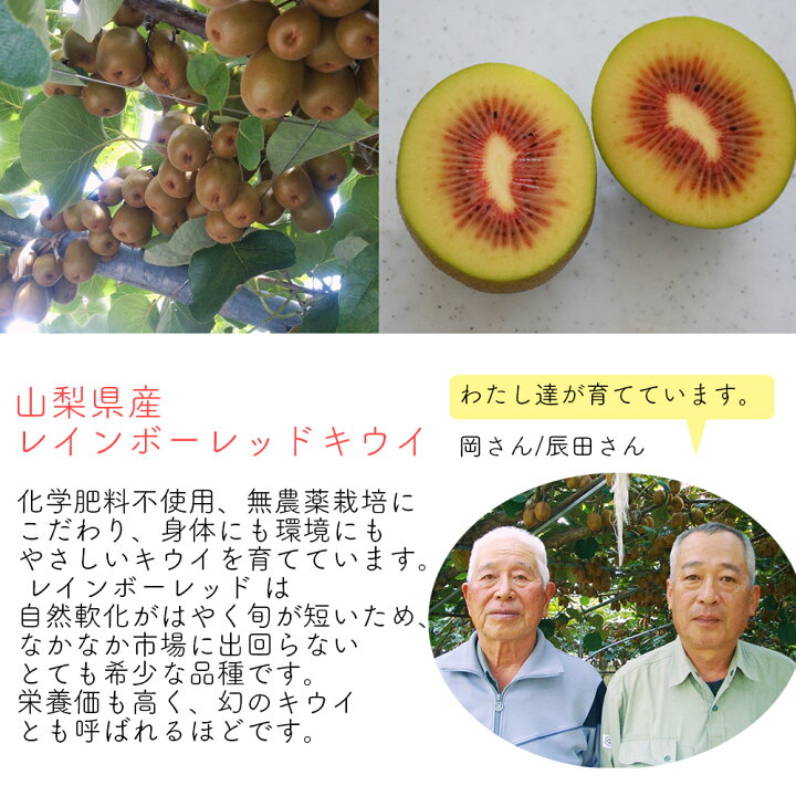 楽天市場 冷凍フルーツ 山梨県産 キウイ レインボーレッド 500g 食と暮らしにplus らびっとらん