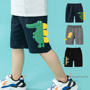 y[z 5pc  LbY n j̎q q ǂ qǂ v`v  100cm 110cm 120cm 130cm 140cm v[g ubN O[ lCr[