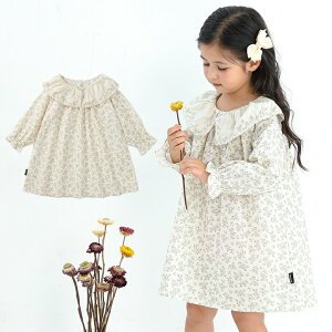 y[zݕt s[X LbY  ԕ ̎q q ǂ qǂ `jbN v`v H ~ t 100cm 110cm 120cm 130cm 140cm ʉ ʊw v[g zCg