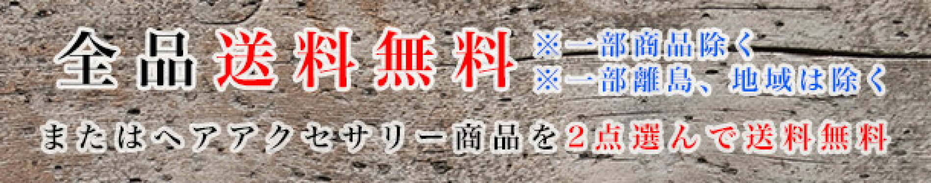 商品2点購入もしくはレビューを書いて送料無料