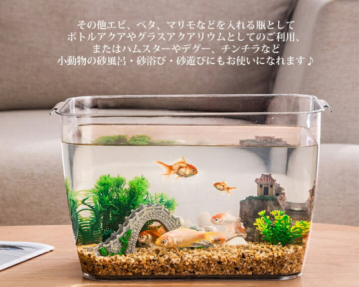 楽天市場】オススメ 金魚鉢 メダカ 透明 水槽 花瓶 アクアリウム 