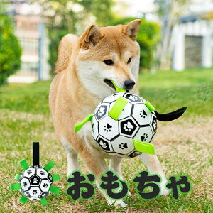 yyVX[p[SALEz    ybg@S p{[ Ȃ  ŋ  [v  ̎ObY g