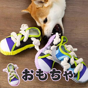 [     ybg@S p{[ Ȃ  ŋ  [v  ̎ObY g