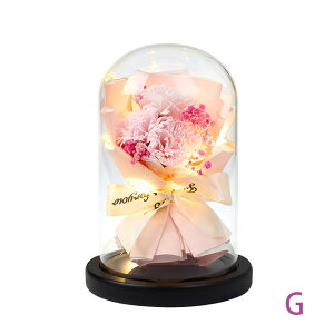 ���� ��̓� �v���U�[�u�h�t�����[ �v���[���g LED�t�� �M�t�g�{�b�N�X�t�� �\�[�v�t�����[ �C���e���A �͂�Ȃ��� ���� �h�V�̓� ���e ��e ����̏j�� �������� �o�����^�C�� �J�[�l�[�V��