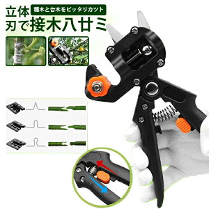 Z[ ږ nT~ ږ؃vZbg(1{Ee[v1)1g PRO j[f[ ؂ ʎ Ԗ o ֗ K[fjO | Ki ؉