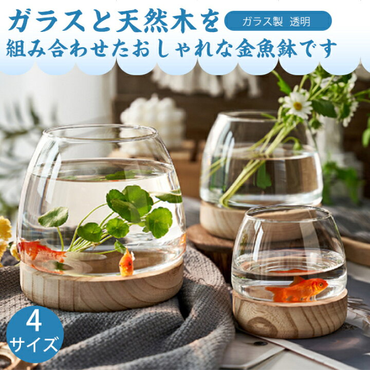 楽天市場】短納期 金魚鉢 メダカ 透明 鉢 睡蓮鉢 ガラス製 天然木 丸型  
