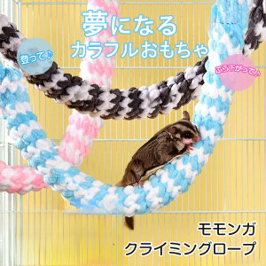 K  tNK ybg  CR ݂艺    tbNt [v p[` NC~O