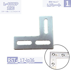 |No17 Lv[g LP36 jNbL