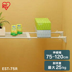 突っ張り棚 収納 洗面所 突っ張り棒 ラック 省スペース 脱衣所 押し入れ 奥行23.5cm 75〜120cm 段差対応 取付簡単 工具不要 伸縮棚 ホワイト アイリスオーヤマ EST-75R