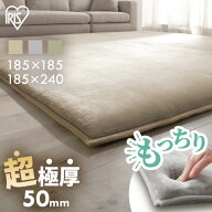 【最大23％OFF＆ポイント10倍★28日10時迄】ラグ 2畳 185 185 3畳 185 240 おしゃれ リビング 北欧 オー…