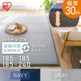 【10%OFFクーポン★3日20時〜11日10時】ラグ 2畳 185 185 3畳 185 240 おしゃれ リビング 北欧 オールシーズン 厚手 滑り止め シート ラグマット カーペット 長方形 防音 撥水 ホットカーペット対応 正方形 極厚 高反発 3cm 30mm らぐ アイリスオーヤマ ACRR-CM *[RNG]
